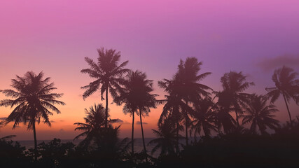 Banner Summer with silhouette colorful theme as palm trees background as texture frame