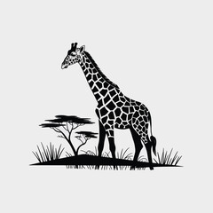 Fototapeta premium Elegant Black Silhouette of a Giraffe in African Savanna
