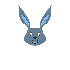 white rabbit isolated on a white background