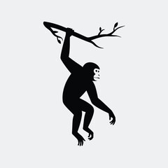 Silhouette of a Chimpanzee Hanging from a Branch