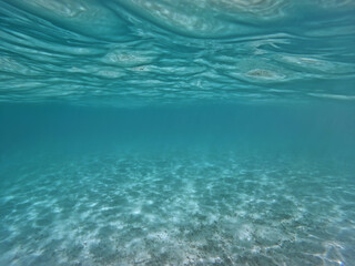 Tranquil underwater scene with copy space