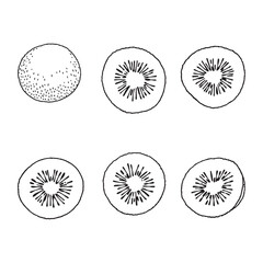 Kiwi fruit line drawing illustration for healthy food design