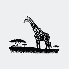 Elegant Giraffe Silhouette in African Savanna Landscape