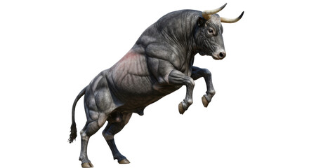 Isolated Rearing Bull