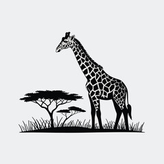 Silhouette of a Giraffe in African Savanna Landscape