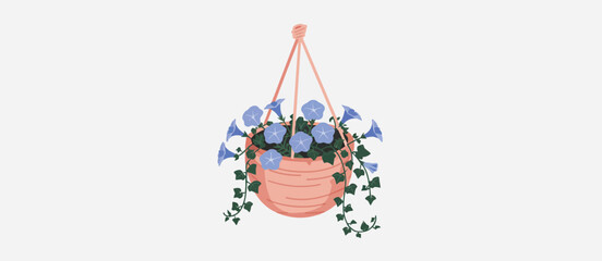 Hanging Planter with Blooming Blue Morning Glories