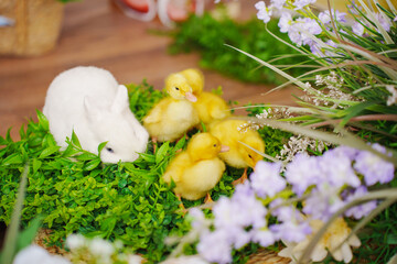 Cute bunny with playful ducklings in a vibrant garden setting