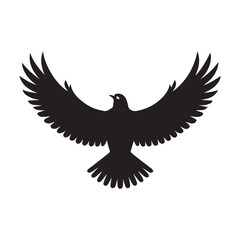 eagle in the sky