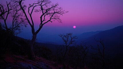 Fototapeta premium Beautiful purple and blue sunset over mountainous landscape with trees
