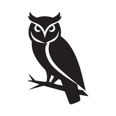 owl on white background