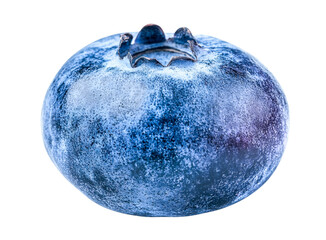 blueberry macro photo - closeup of blue berry on white background