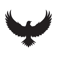 Fototapeta premium eagle in flight