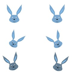 set of rabbits