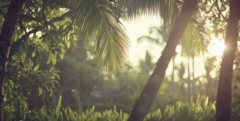 Lush tropical foliage bathed in golden sunlight  Sunlight filters through palm leaves, creating a soft, hazy atmosphere  Dense greenery surrounds the palm trees