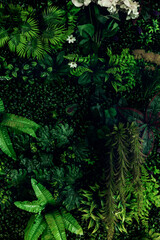 Herb wall, plant wall, natural green wallpaper and background. nature wall. Nature background of green forest