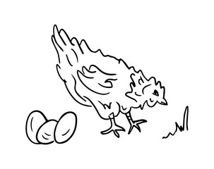 Homemade chicken and eggs, vector drawing in doodle style. Farm animals is a monochrome hand-drawn contour illustration. A Happy chicken for a home-made food brand