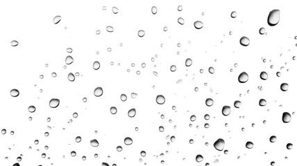 Fresh Water Drops Isolated on Clean White Background
