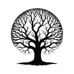 Silhouette of a Detailed Round Tree with Bare Branches on White Background Design