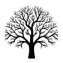 Fototapeta premium Silhouette Tree with Branches, Round Shape, Black on White, Detailed, Isolated, Minimal
