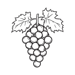 minimalist grape vine line art perfect for branding projects