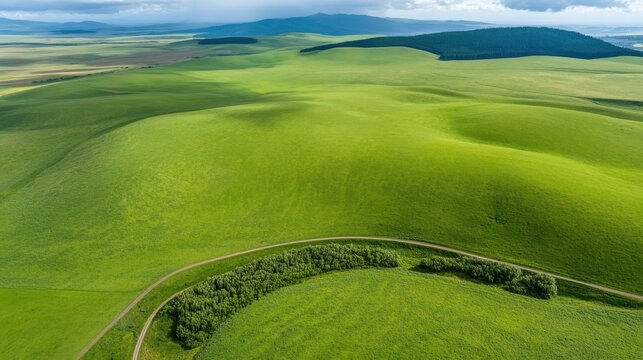 Aerial view of vibrant green rolling hills under blue sky and clouds