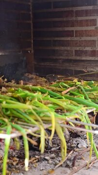 Calcots grilling over crackling wood fire inside rustic brick oven, traditional catalan outdoor cooking method releasing smoky aromas and capturing authentic mediterranean culinary experience
