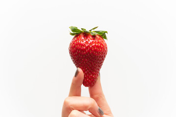 Close-up of a healthy and tasty red strawberry held by the hand of a woman with painted nails on a white background.