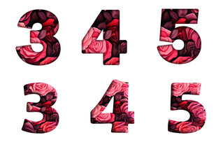 Rose red flower 3, 4, 5, 6  Number letter text font  