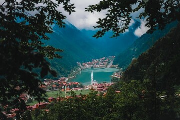 Fototapete bei efototapeten.de bestellen   