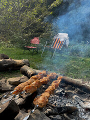 frying fried meat on fire in the woods
