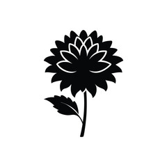 chrysanthemum flower silhouette vector icon on white background