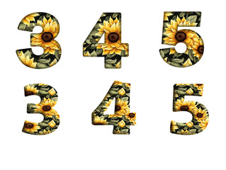 Sunflower Seamless Pattern 3, 4, 5, 6  Number letter text font  