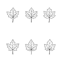 Minimalist Maple Leaf Illustration for Artistic Works
