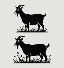 Two Black Silhouettes of Goats Standing in Grass