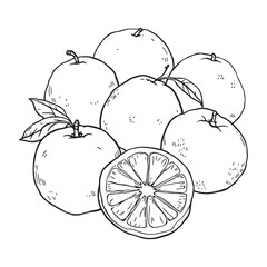 Minimalist Orange Illustration in Clean Line Ar