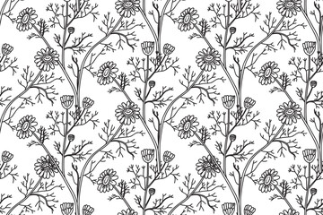 Line art botanical seamless floral pattern with flowers chamomile vector illustration. Black outline repeating daisy plants in white background. Graphic design for Fashion Cover Textile Wedding Print