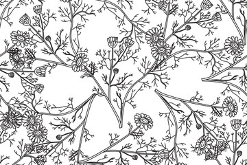Line art botanical seamless floral pattern with flowers chamomile vector illustration. Black outline repeating daisy plants in white background. Graphic design for Fashion Cover Textile Wedding Print
