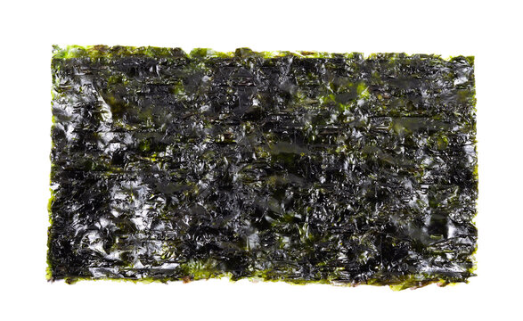 Tasty nori seaweed isolated on a white background. 