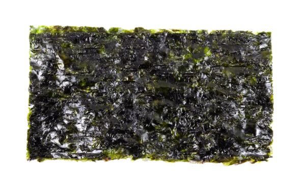 Tasty nori seaweed isolated on a white background. 