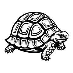 Elegant Black And White Turtle with Detailed Shell Design & Precise Outline