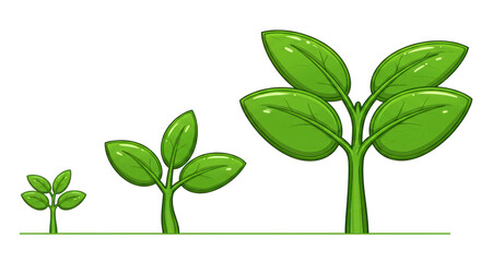 Isolated Plant Growth Stages