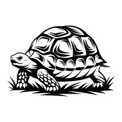 Black and White of Turtle with Intricate Shell Pattern in Grass