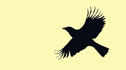 Fototapeta premium Soaring Silhouette Bird in Flight Against Pale Yellow