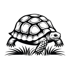 Silhouette Tortoise Walking Through Grass, Black and White Reptile