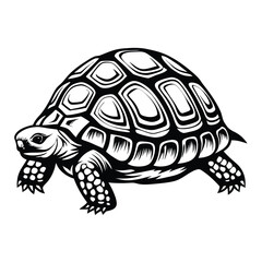Turtle Detailed Black and White Outlined Reptile Wildlife Silhouette Art Design