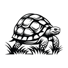 Monochrome Turtle Detailed Shell, Walking on Grass, Wildlife, Bold Outline
