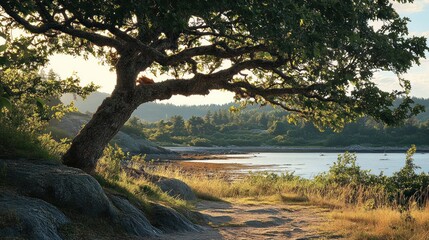 Obraz premium Majestic tree framing a serene coastal scene at dusk, creating a peaceful landscape