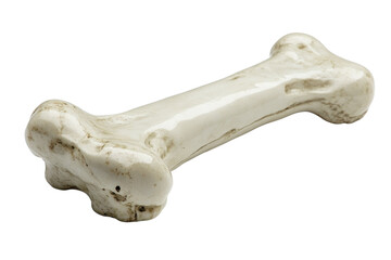 Fototapeta premium Close up of a White Dog Bone Isolated on White Background for Pet Product Advertising on transparent background