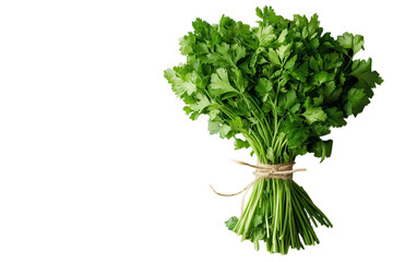 Fototapeta premium Fresh cilantro bunch vibrant green herb tied with twine on a textured background healthy cooking
