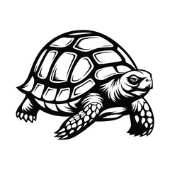 Turtle Detailed Monochrome Drawing of a Land Turtle Isolated on White